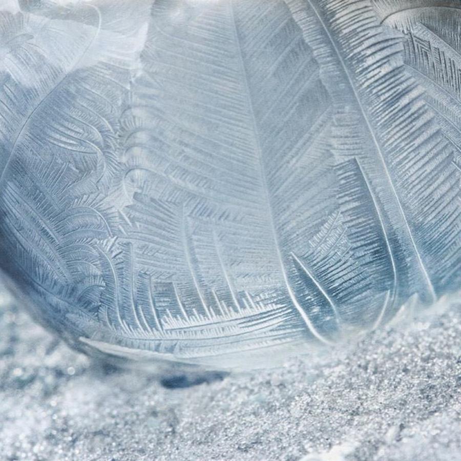 Frozen Bubble Art Photograph by Dale Kincaid