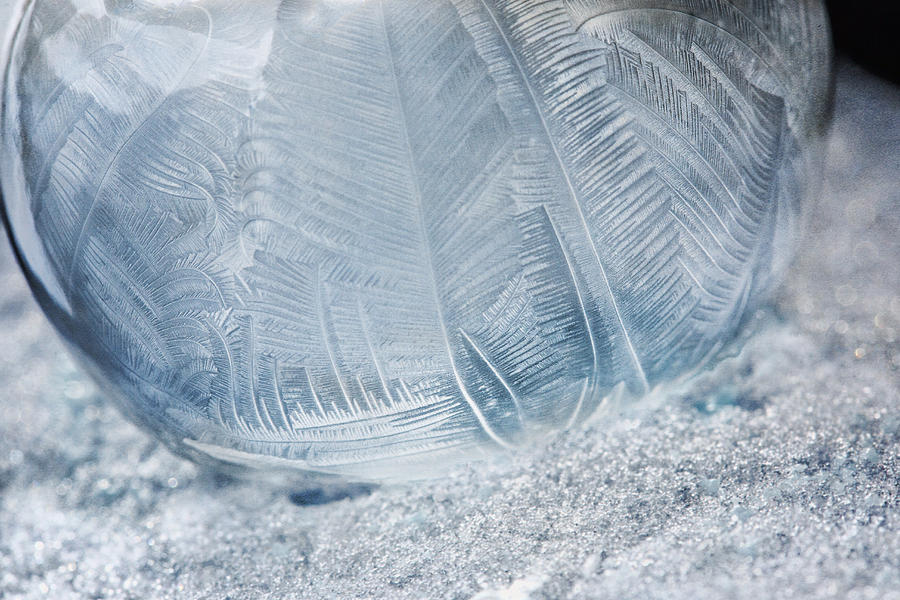 Frozen Bubble Photograph by Dale Kincaid