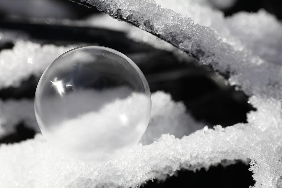 Frozen Bubble Photograph by Tammy Pool