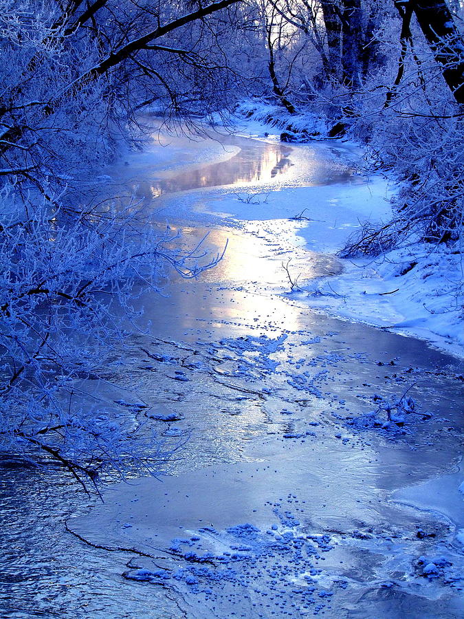 Frozen Creek Photograph by Luke Robertson - Fine Art America