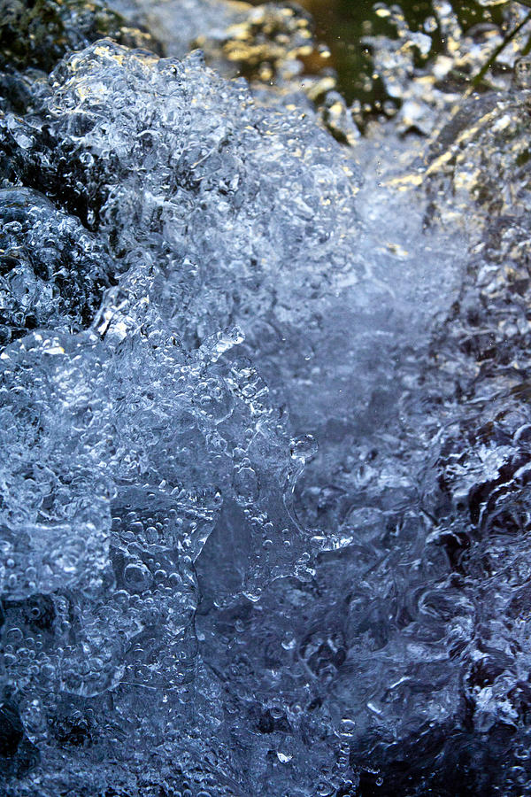 Nature Photograph - Frozen by Daniel Csoka