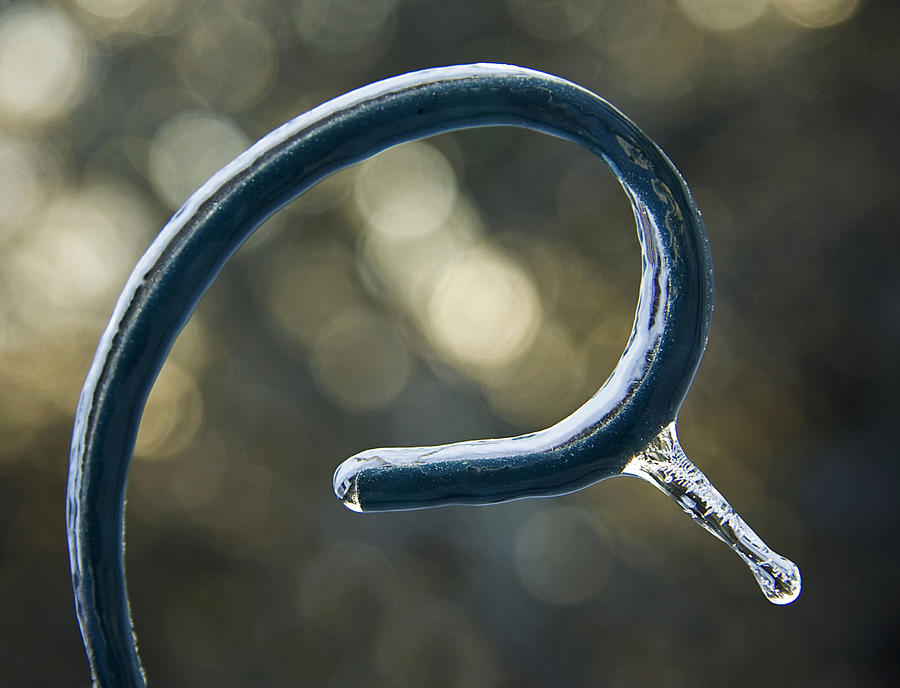 Frozen Drop Photograph by Jeff Galbraith