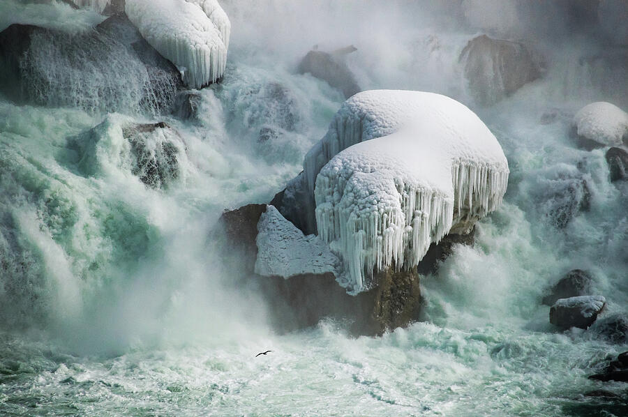 Frozen Falls Photograph by Tracy Munson