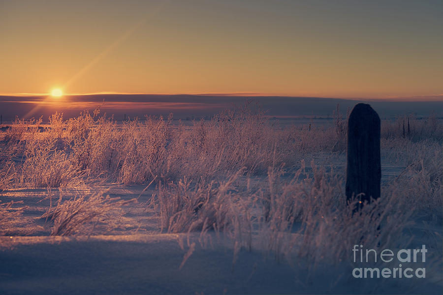 Frozen Field Sunrise Photograph by Ian McGregor