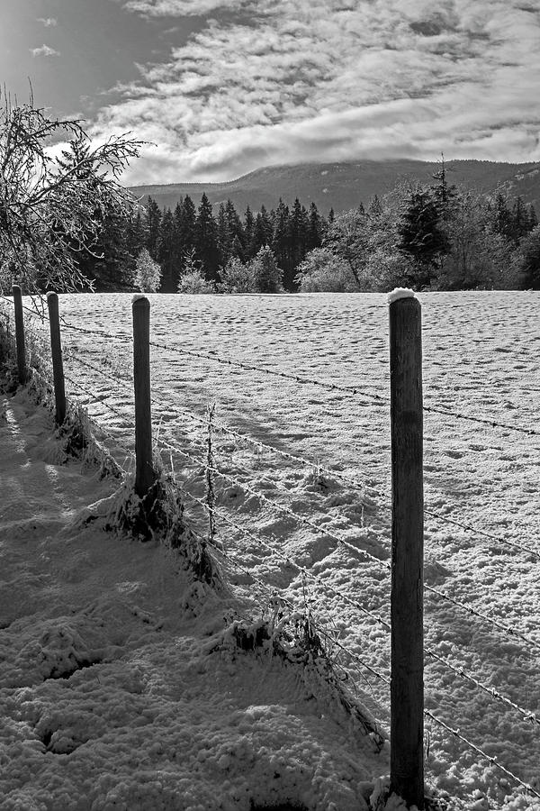 Frozen fields Photograph by Inge Riis McDonald
