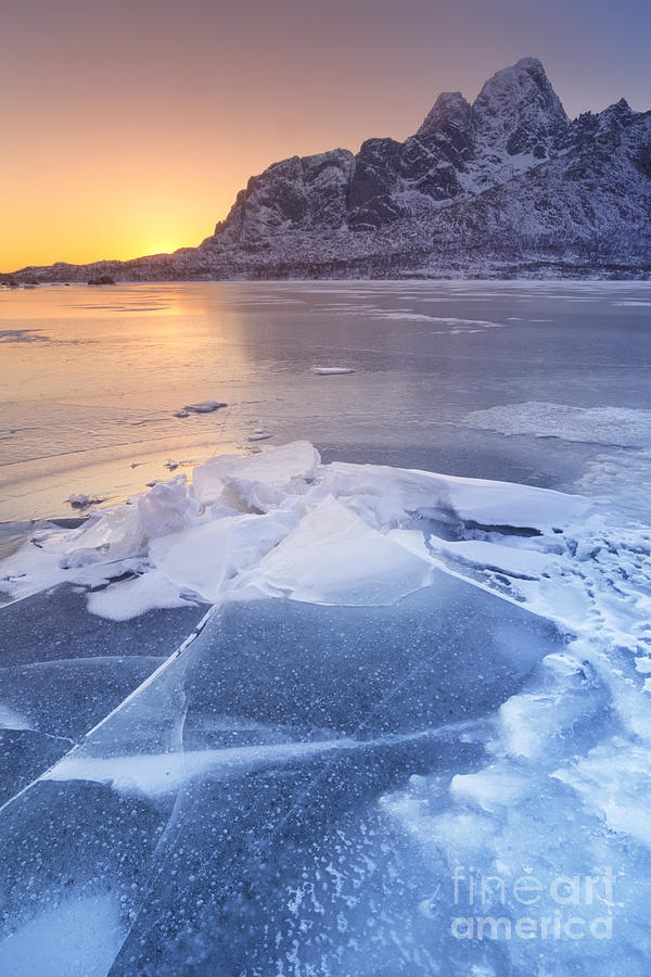 Mountain Photograph - Frozen fjord on the Lofoten in northern Norway by Sara Winter
