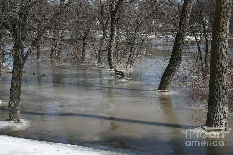 Frozen Floodwaters Photograph by Mary Mikawoz