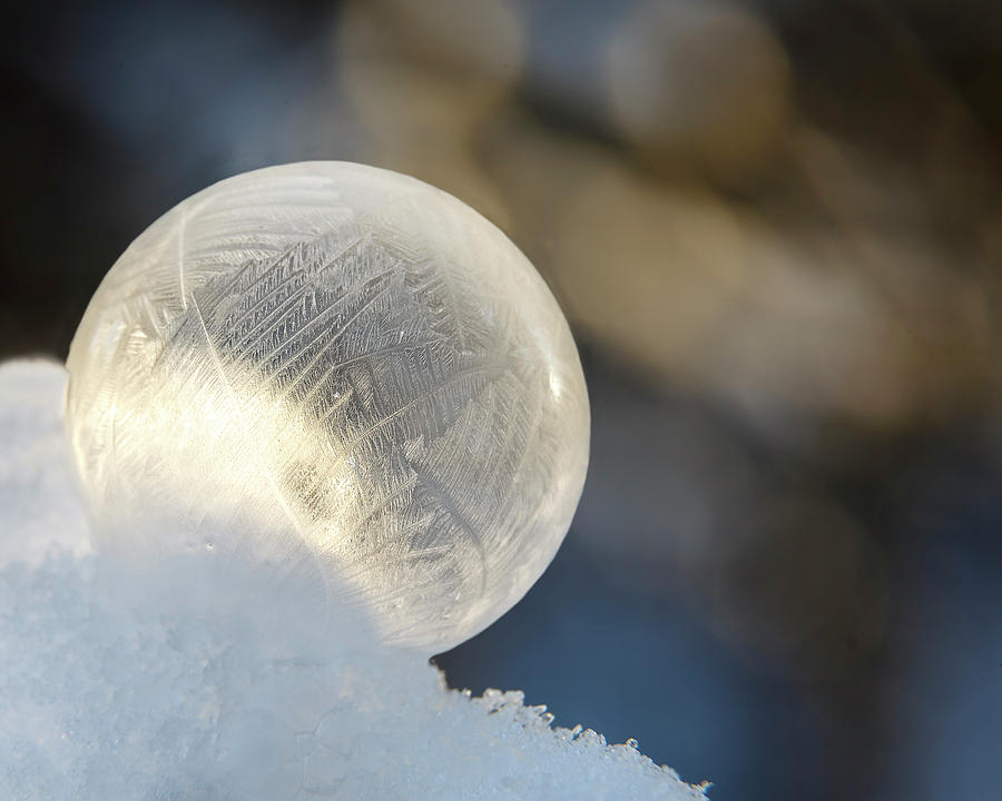 Frozen Globe Photograph by Wes and Dotty Weber