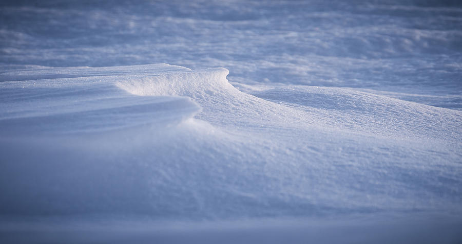 Winter Photograph - Frozen Ground by Eric Chamberland