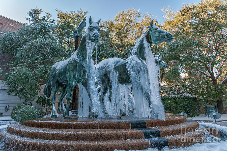Frozen Horse Fountain Photograph