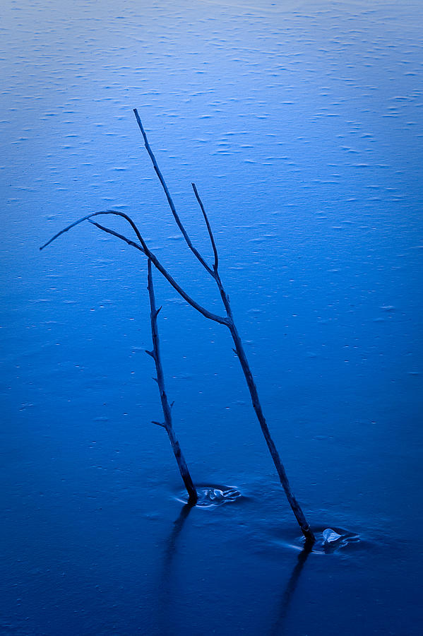 Frozen in Blue Photograph by Monte Stevens