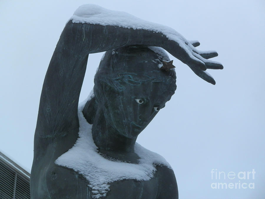 Frozen in stone Photograph by Margaret Brooks