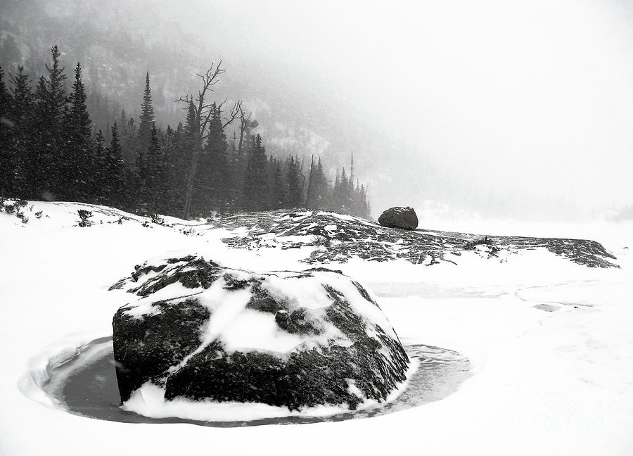 Frozen Photograph by Jennie MacDonald Frozen Photograph by Jennie MacDonald