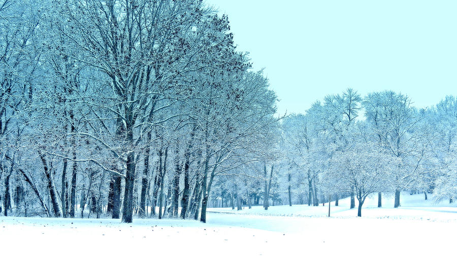 Winter Photograph - Frozen by Kay Novy