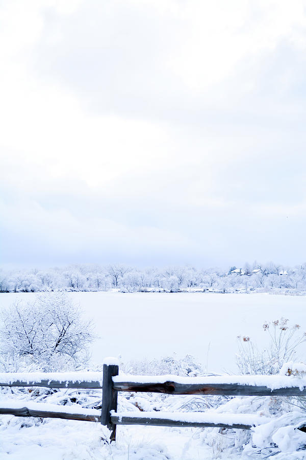 Frozen Lake  Photograph by MKD Lincoln
