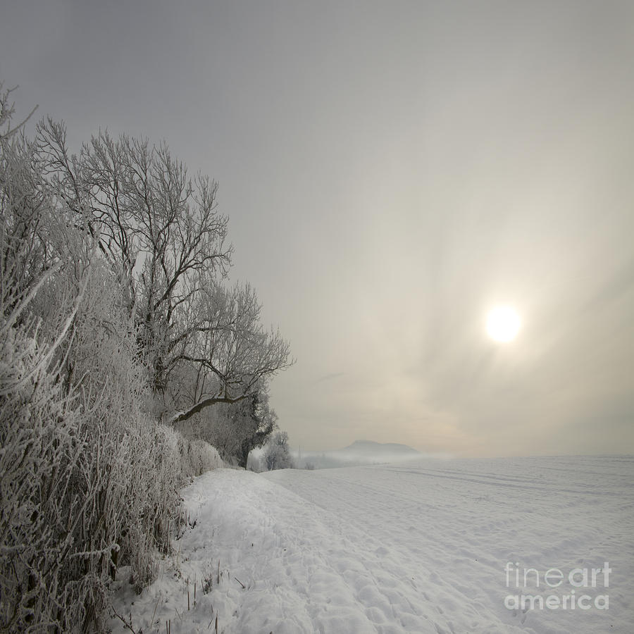 Frozen Landcape Photograph by Ang El
