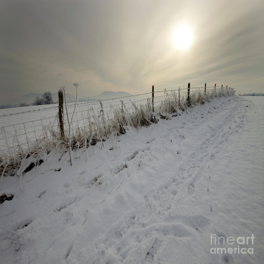 Frozen Landscape Photograph by Ang El