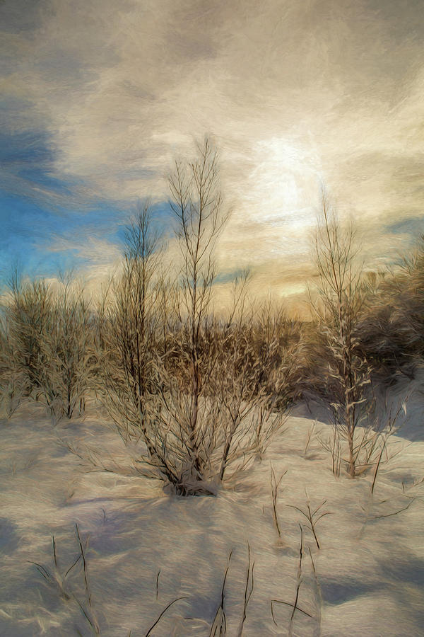 Frozen Landscape Photograph by Maria Coulson