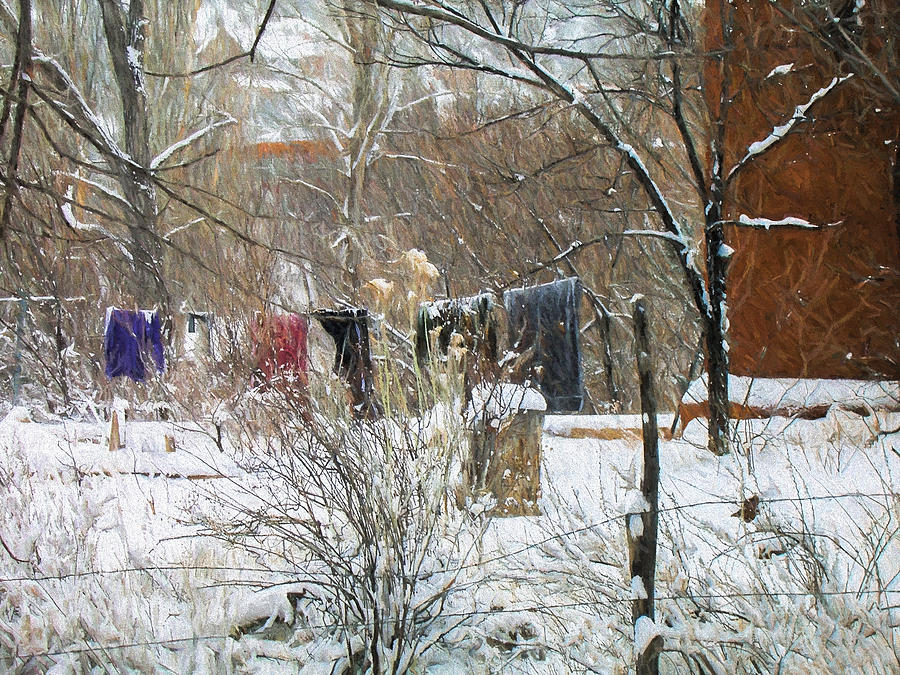 Frozen Laundry Photograph by Lou Novick