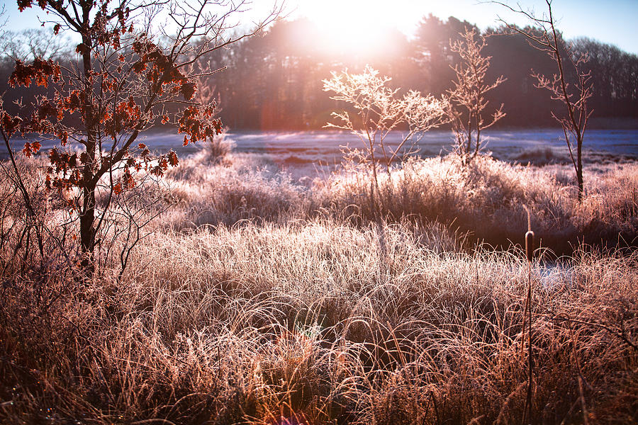 Frozen Marsh in Kennebunk Maine Photograph by Eric Gendron