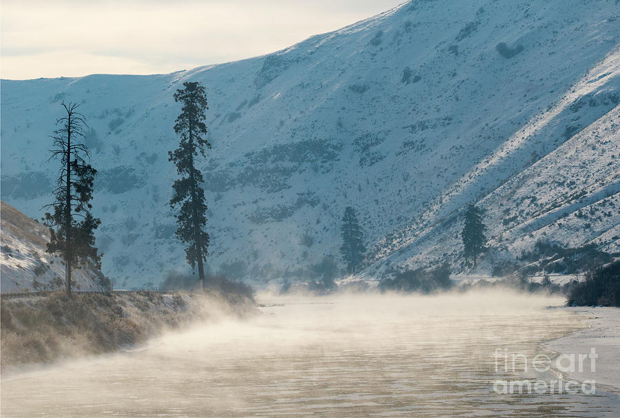 Winter Photograph - Frozen Mist Rising by Michael Dawson