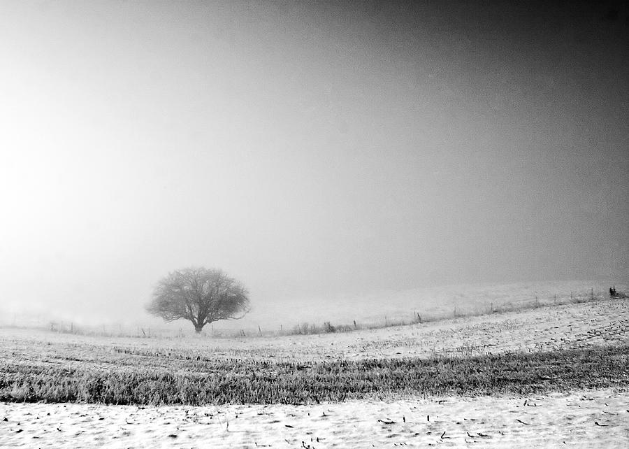 Frozen Mist Photograph by Todd Klassy