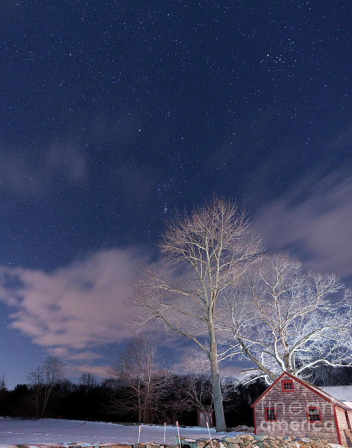Frozen Night Photograph