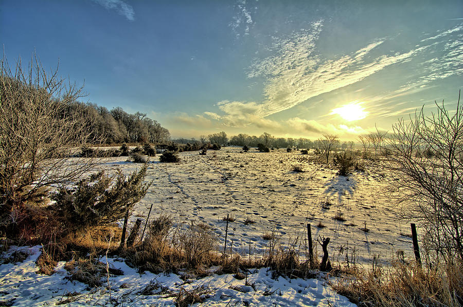 Frozen Pasture Photograph by Bonfire Photography