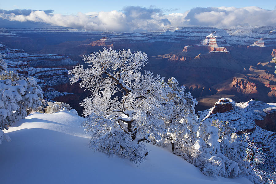 Grand Canyon National Park Photograph - Winter Wonder by Mike Buchheit