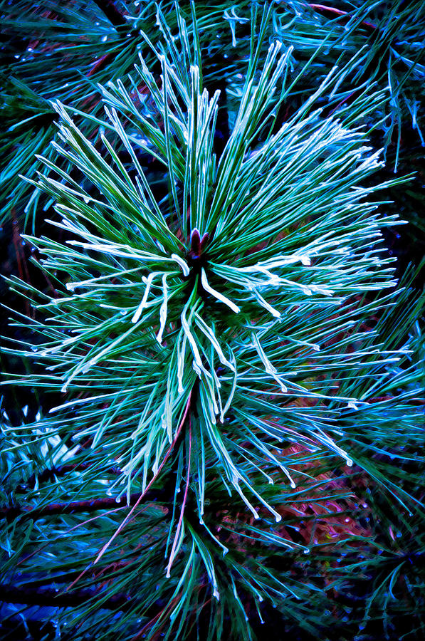 Frozen Pine Needles  Painting by Connie Cooper-Edwards