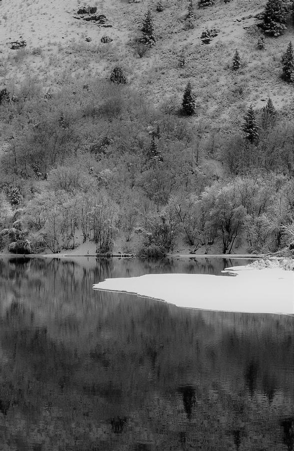 Frozen Pond Photograph by Heidi Fickinger