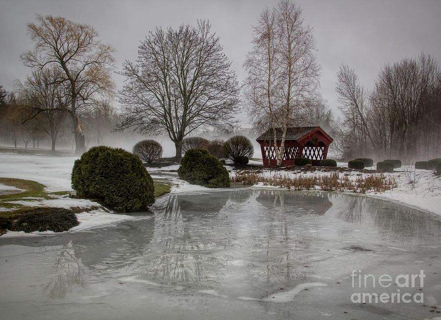 Frozen Photograph - Frozen Reflections by Diana Nault Frozen Photograph - Frozen Reflections by Diana Nault