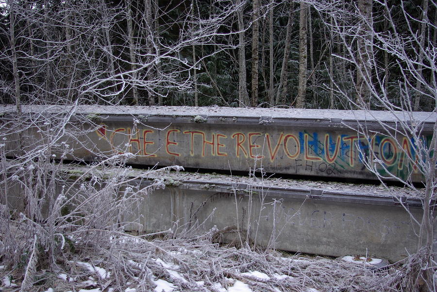 Frozen Revolution Photograph by Cindy Johnston