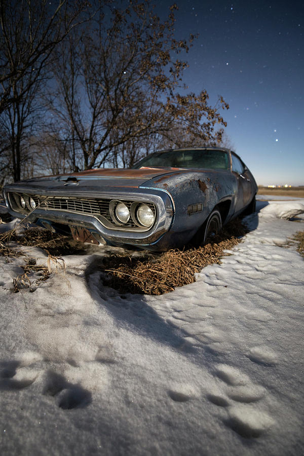 Winter Photograph - Frozen Road Runner  by Aaron J Groen