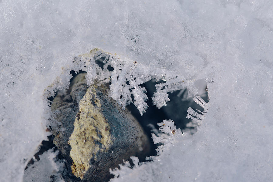 Winter Photograph - Frozen Rock by Amber Flowers