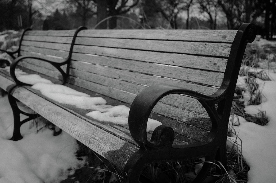 Frozen Seats Photograph by Miguel Winterpacht