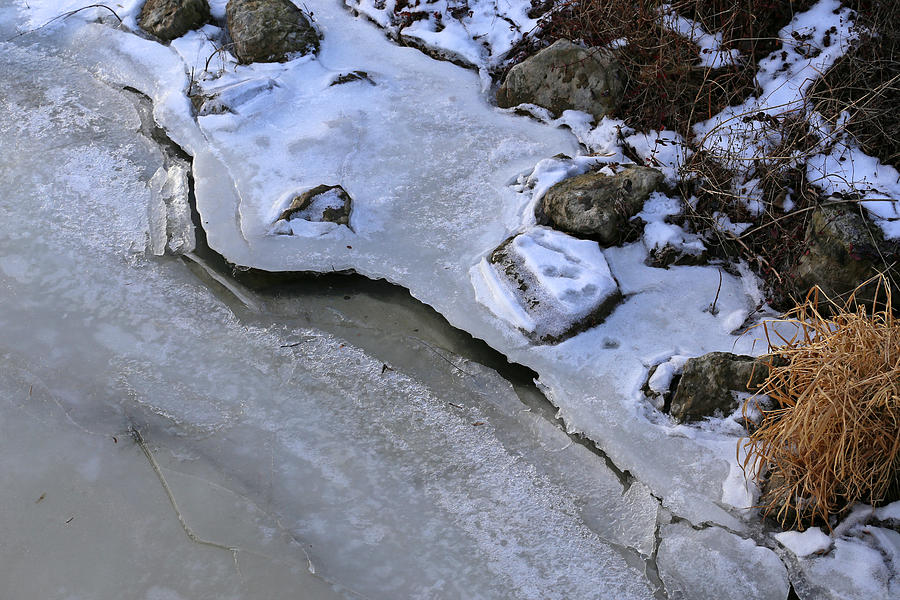 Frozen Shoreline Saint Clair 2 Photograph by Mary Bedy