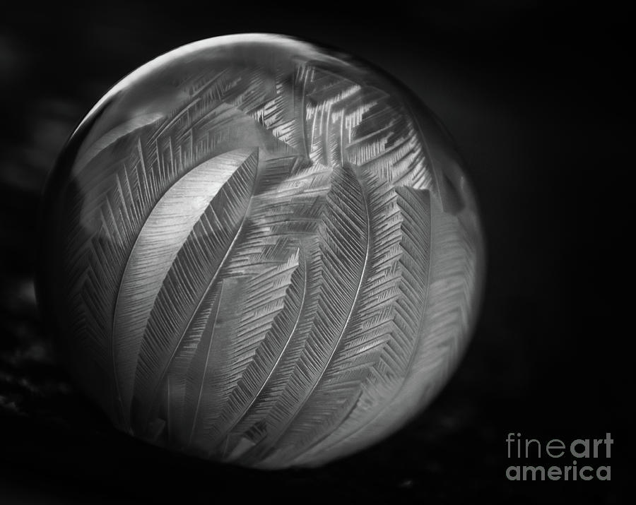Frozen Soap Bubble - Black and White - Macro Photograph by Adrian De Leon Art and Photography