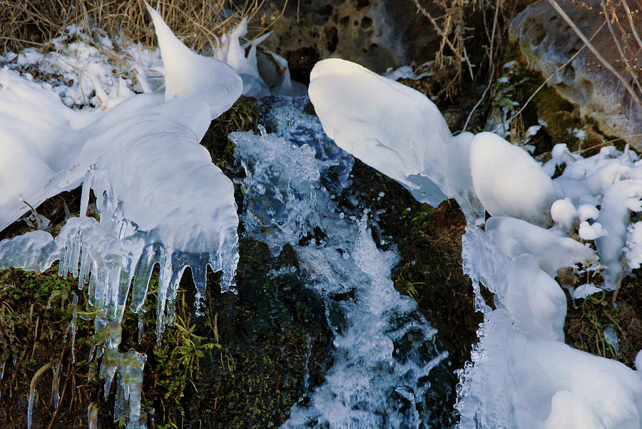 Frozen Splashup Photograph by Michelle Halsey