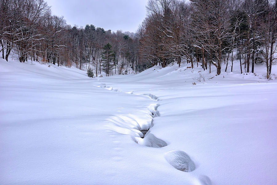 Winter Photograph - Frozen Stream in Reading VT by Rick Berk