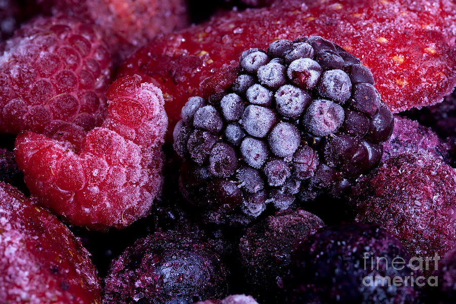 Frozen summer fruits macro Photograph by Simon Bratt
