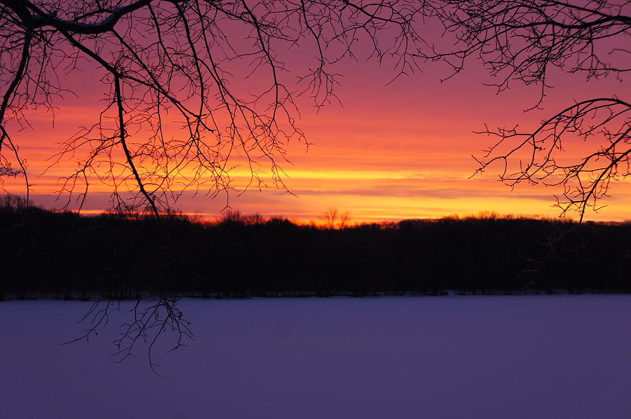 Frozen Sunrise 3 Photograph by Jenny Knudsen - Fine Art America