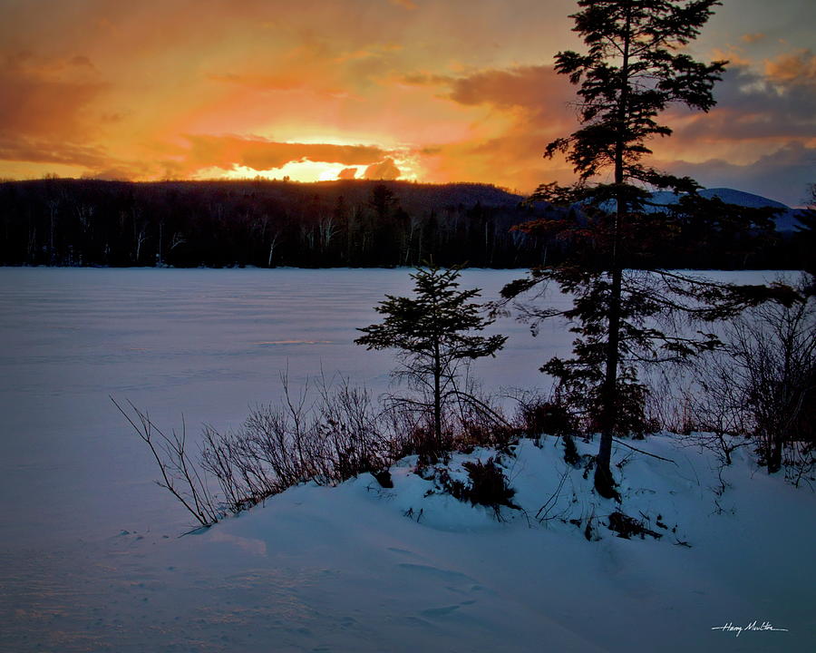 Frozen Sunset Pyrography by Harry Moulton