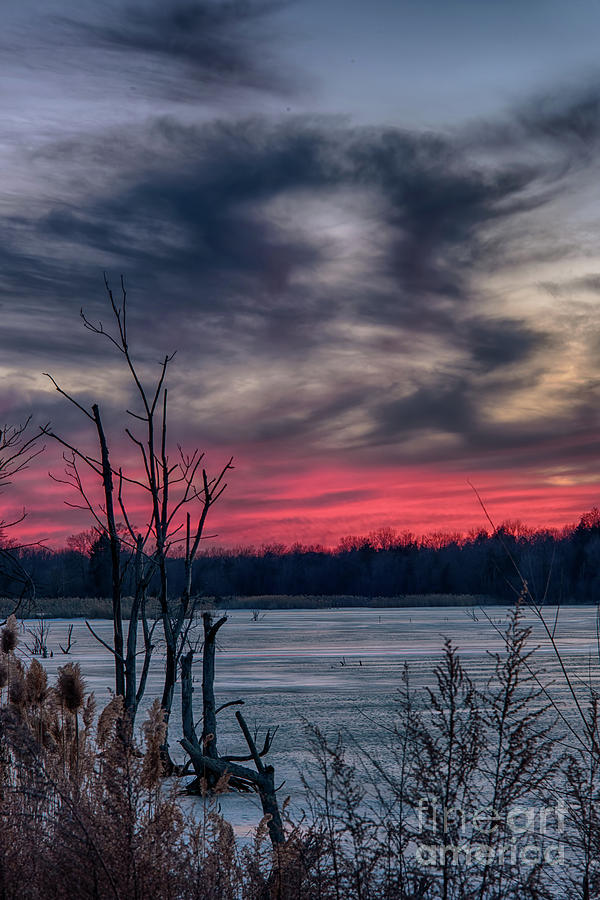 Frozen Sunset Photograph by Nicki McManus