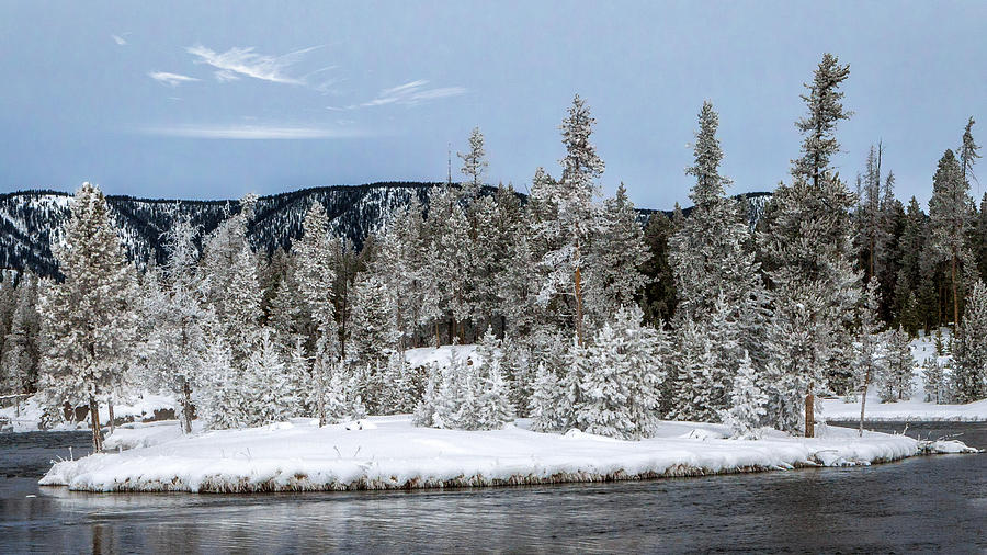 Frozen Trees Yellowstone Photograph by Jerry Fornarotto