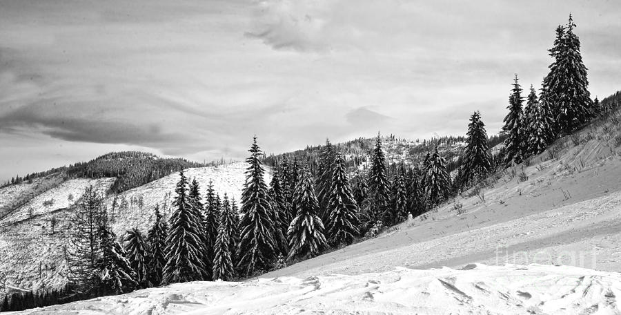 Frozen Valley 4 Bw Photograph By Alex Art Ireland - Fine Art America