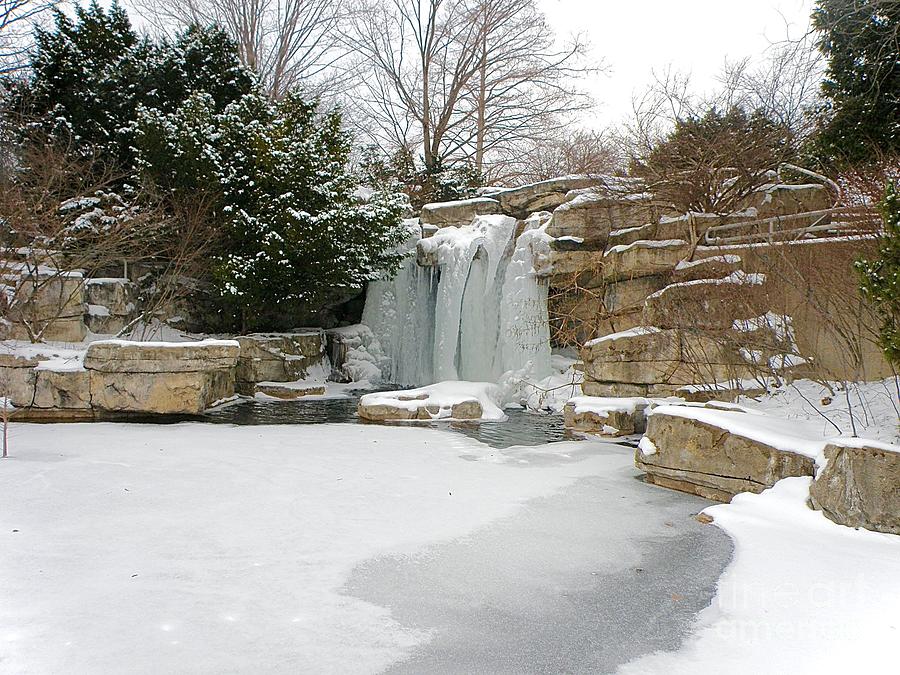 Frozen Waterfall At The St Louis Zoo Photograph by Debbie Fenelon ...