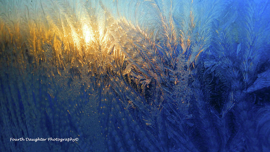 Frozen Wheat Fields Photograph by Diane Shirley