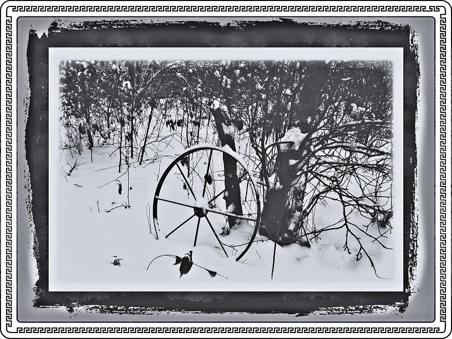 Tree Photograph - Frozen In Time by Cathy Harper