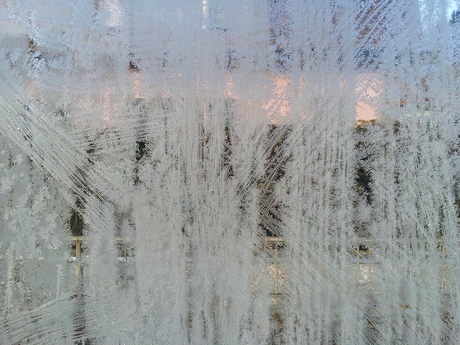 Frozen Window Photograph by Ernst Dittmar